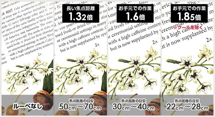 選べる倍率3倍率