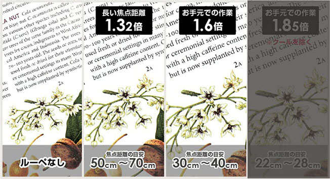 選べる倍率3倍率